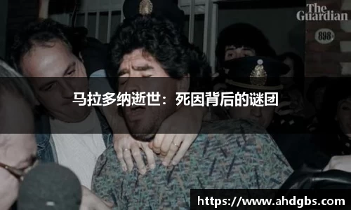 天博体育登录注册