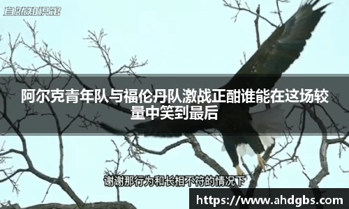 天博体育登录注册